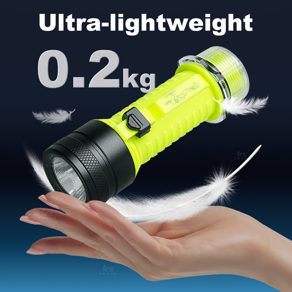 New Portable Professional LED  – Fishing Light Bewertung und Preis