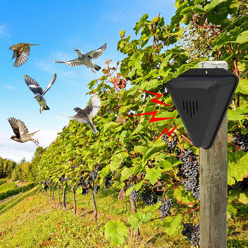 Waterproof Solar bird repeller – Fish Alarm Bewertung und Preis